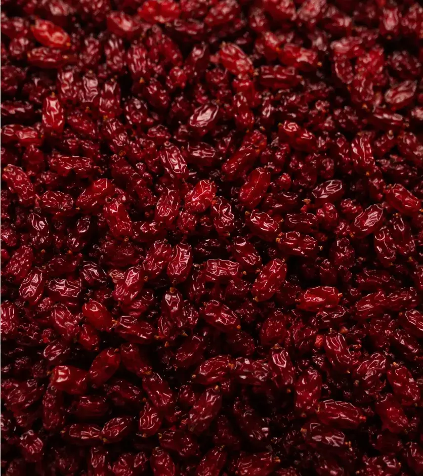 Iranian Anari barberry for wholesale food production and ingredient use